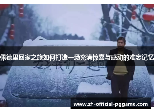 佩德里回家之旅如何打造一场充满惊喜与感动的难忘记忆