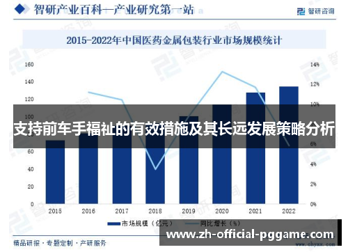 支持前车手福祉的有效措施及其长远发展策略分析