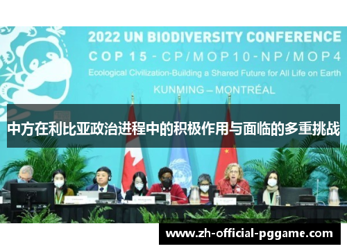 中方在利比亚政治进程中的积极作用与面临的多重挑战