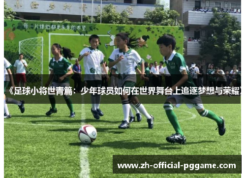 《足球小将世青篇：少年球员如何在世界舞台上追逐梦想与荣耀》