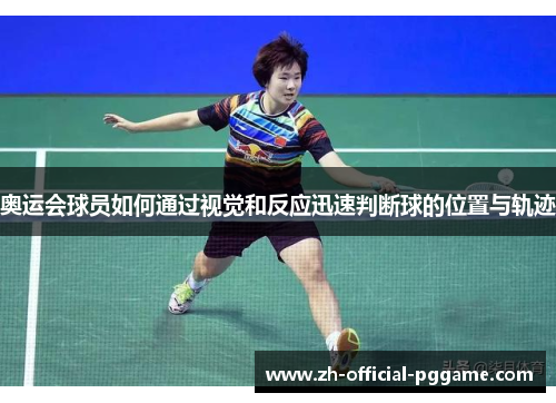 奥运会球员如何通过视觉和反应迅速判断球的位置与轨迹
