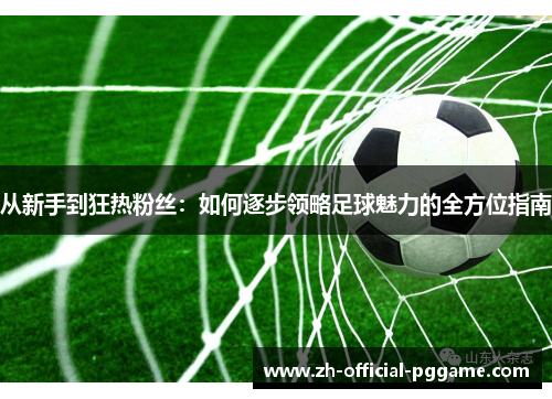 从新手到狂热粉丝：如何逐步领略足球魅力的全方位指南