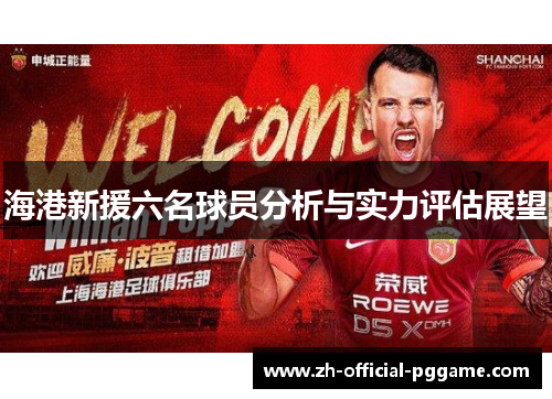 海港新援六名球员分析与实力评估展望