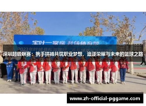 深圳超级联赛：携手拼搏共筑职业梦想，追逐荣耀与未来的篮球之路