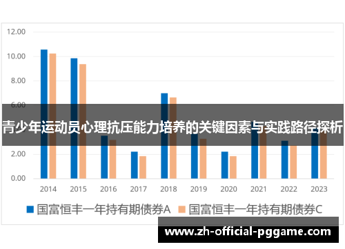 青少年运动员心理抗压能力培养的关键因素与实践路径探析